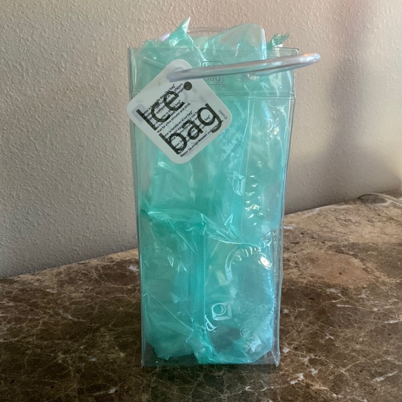 ❄️ ICE BAG ❄️ CLEAR ❄️ 10x4 and 5” handles, card slot on back for promo, NWTags - Picture 2 of 10